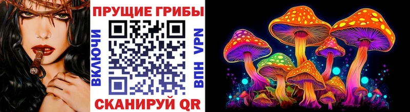 Псилоцибиновые грибы ЛСД Сергач
